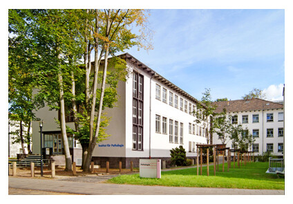 Bonn institute of pathology